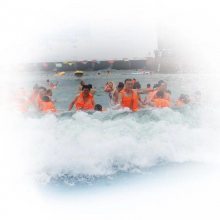 【河南專業(yè)人工造浪設(shè)備、人工造浪池 、造浪機(jī)設(shè)備圖片】河南專業(yè)人工造浪設(shè)備、人工造浪池 、造浪機(jī)設(shè)備圖片大全