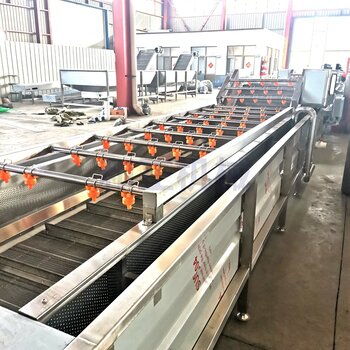 和正機械食堂洗菜機多功能毛桃氣泡清洗機果蔬鼓泡翻浪清洗機