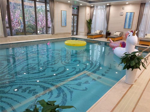 隨州造浪池設(shè)備 武漢豐盛桑拿泳池