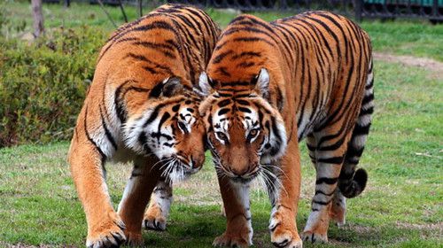 完美的旅行是和家人一起的,帶上寶寶一起嗨