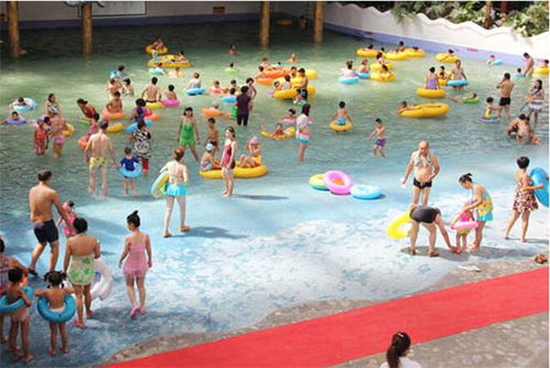 鼓風(fēng)造浪設(shè)備誠(chéng)信商家 天新游藝品類齊全