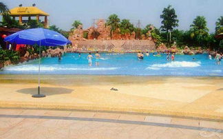 人工造浪設(shè)備 技術(shù)與應(yīng)用的全面解析