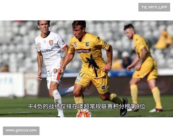 澳超薪资榜揭晓悉尼FC核心球员年薪280万澳元本土球员比例不足30%